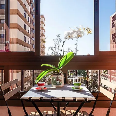 Apartment Holiday Flat - Tfn021005-eya